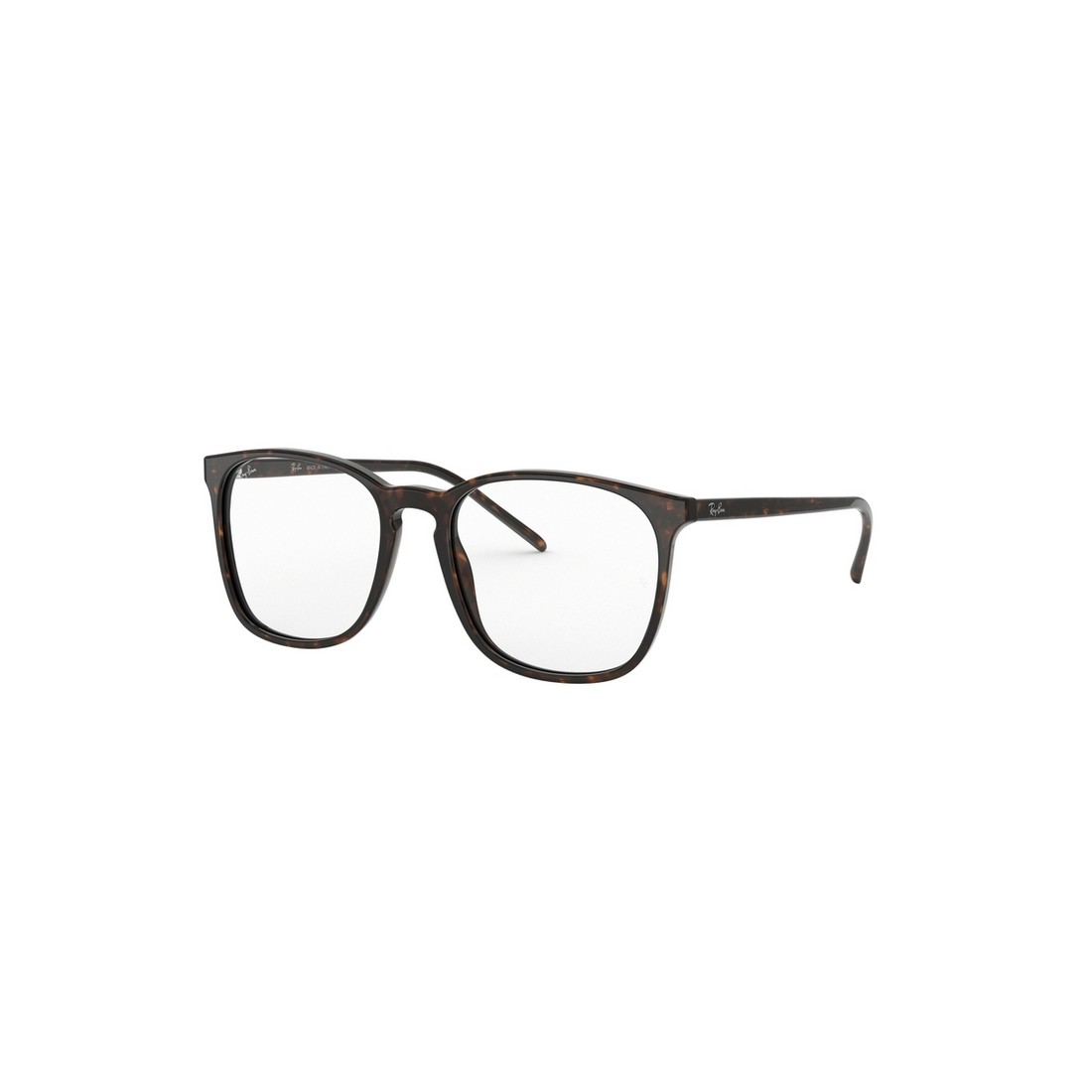 Ray-Ban RX5387 2012