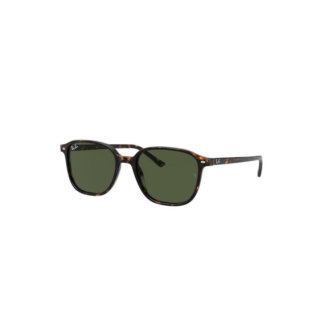 Ray-Ban LEONARD RB2193 902/31