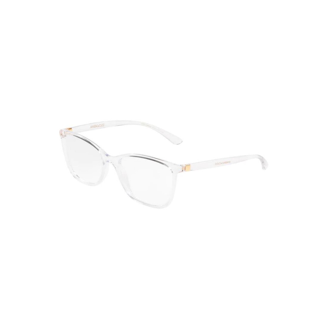 Dolce & Gabbana DG5026 3133