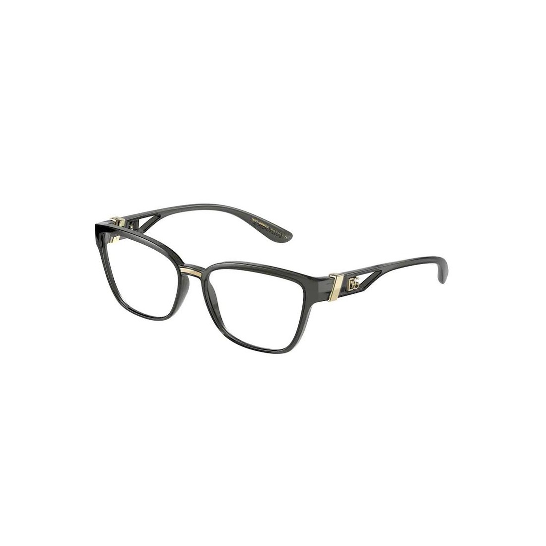 Dolce & Gabbana DG5070 3291