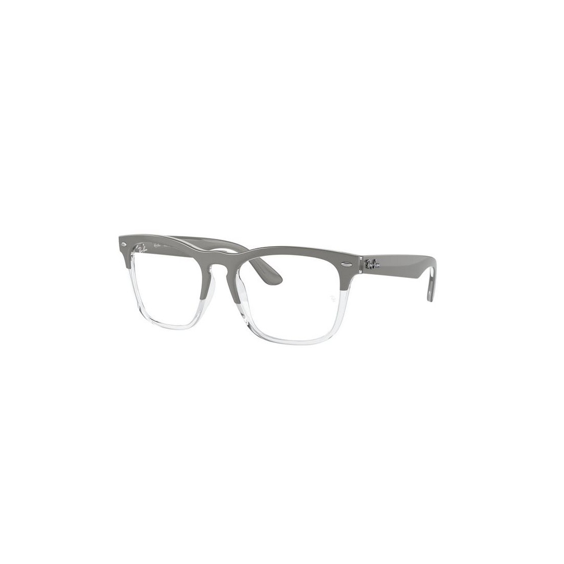 Ray-Ban STEVE RX4487V 8197