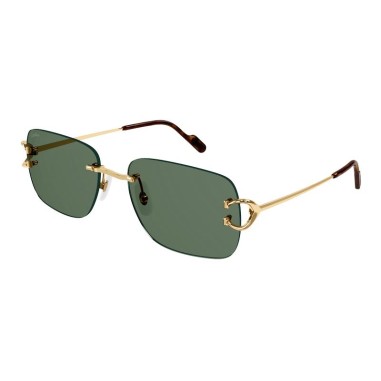 Cartier CT0330S 005