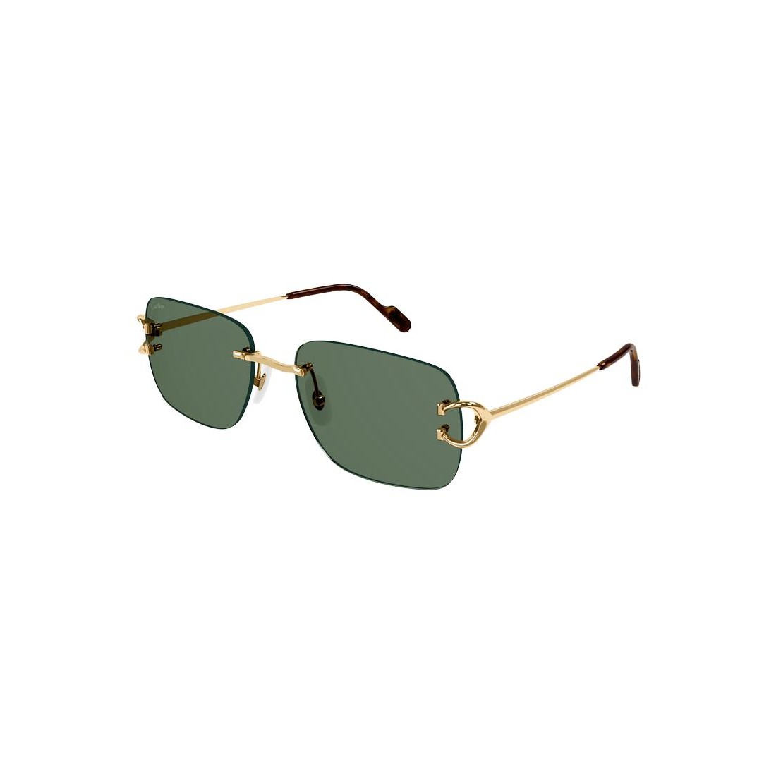 Cartier CT0330S 005
