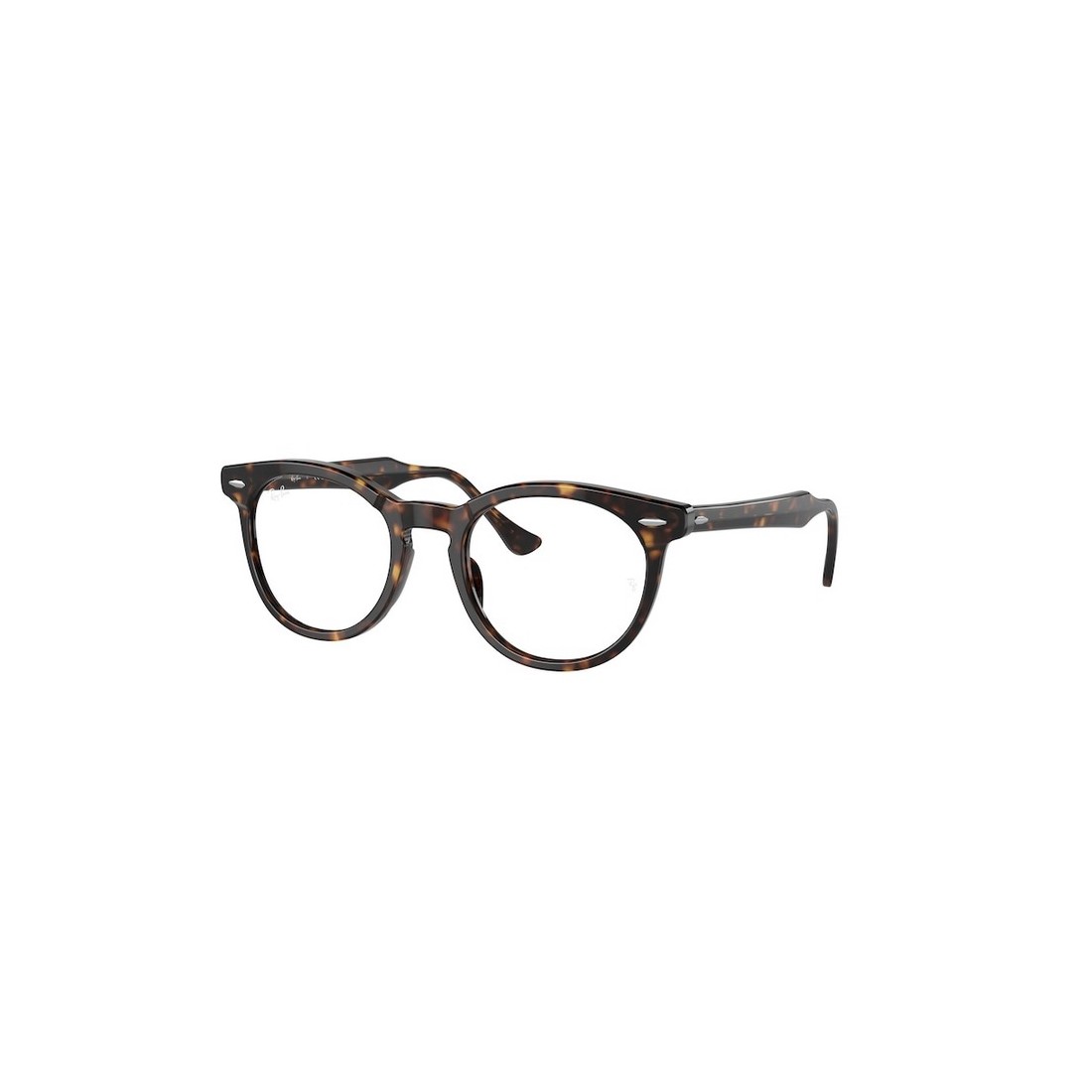 Ray-Ban EAGLEEYE RX5598 2012