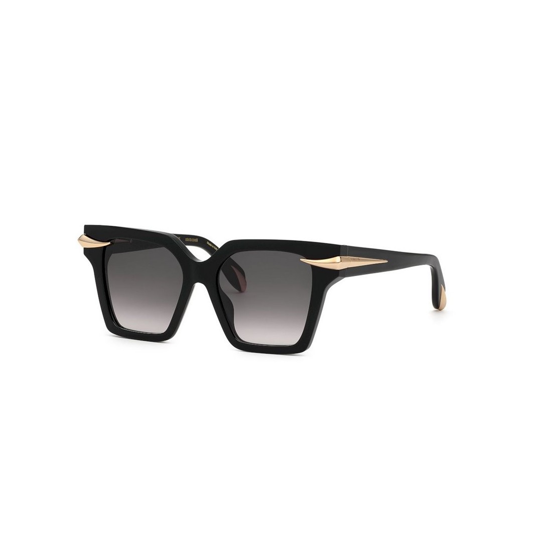 Roberto Cavalli SRC002M 0700
