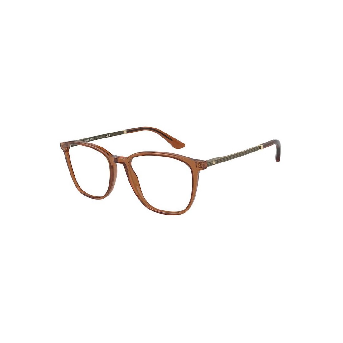Giorgio Armani AR7250 6046