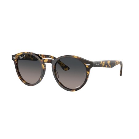 Ray-Ban LARRY RB7680S 1332GL