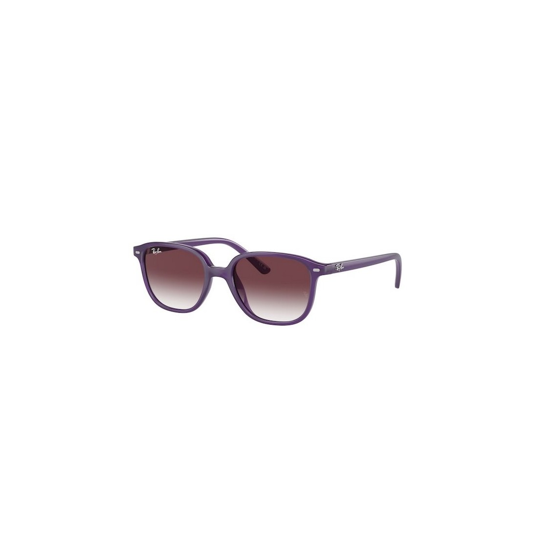 Ray-Ban JUNIOR LEONARD RJ9093S 713136