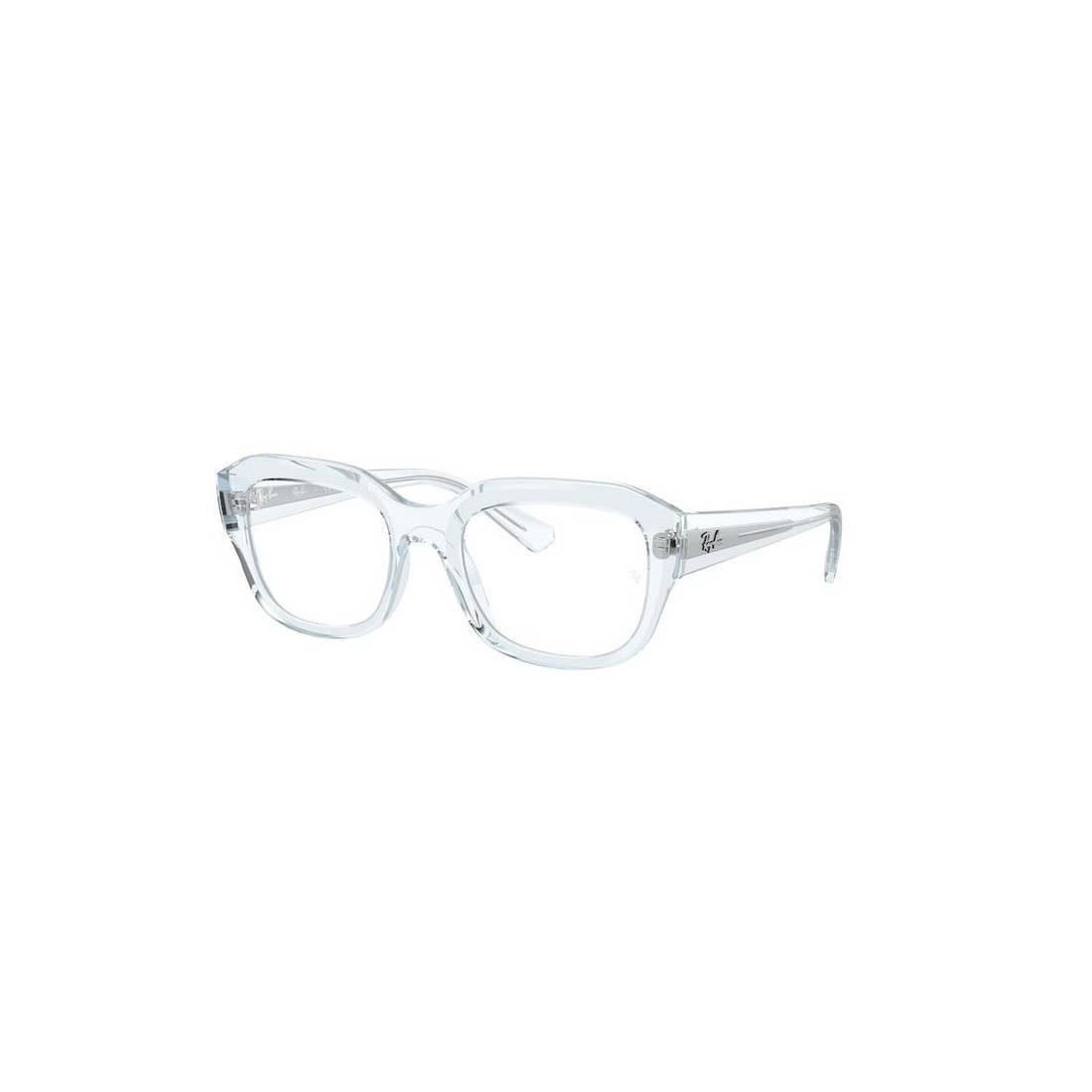 Ray-Ban LEONID RX7225 8319
