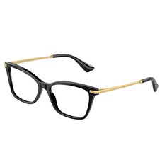 Dolce & Gabbana DG3393 501