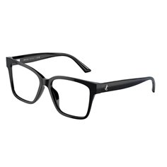 Jimmy Choo JC3006U 5000