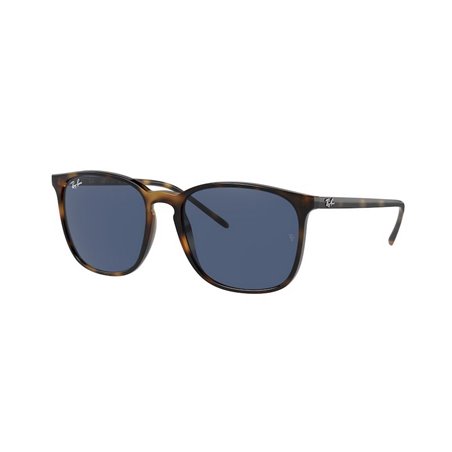 Ray-Ban RB4387 710/80 Ray-Ban RB4387 710/80