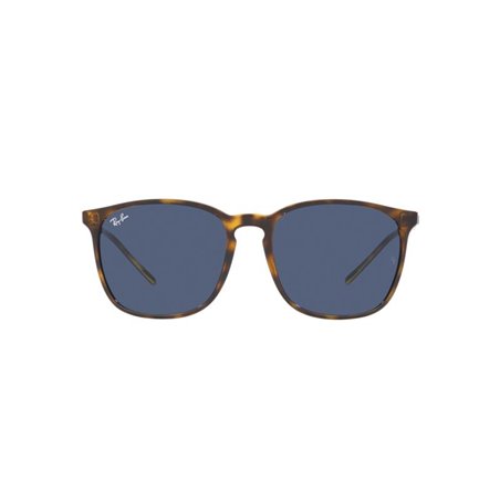 Ray-Ban RB4387 710/80 Ray-Ban RB4387 710/80