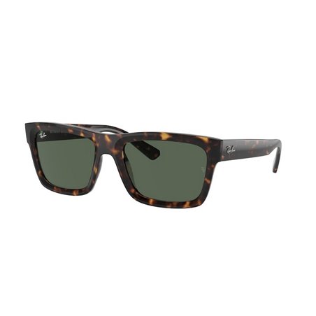 Ray-Ban WARREN RB4396 135971 Ray-Ban WARREN RB4396 135971