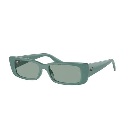 Ray-Ban TERU RB4425 676282 Ray-Ban TERU RB4425 676282