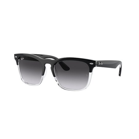 Ray-Ban STEVE RB4487 66308G Ray-Ban STEVE RB4487 66308G