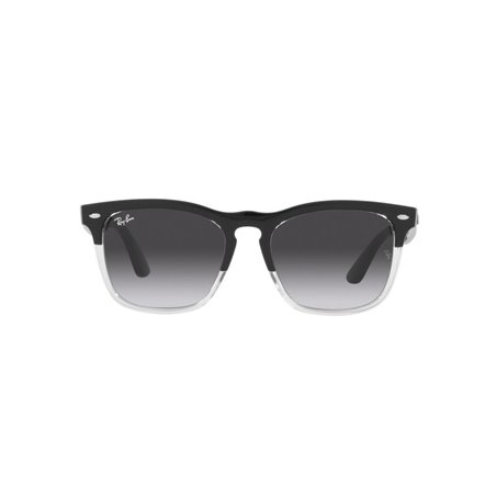 Ray-Ban STEVE RB4487 66308G Ray-Ban STEVE RB4487 66308G