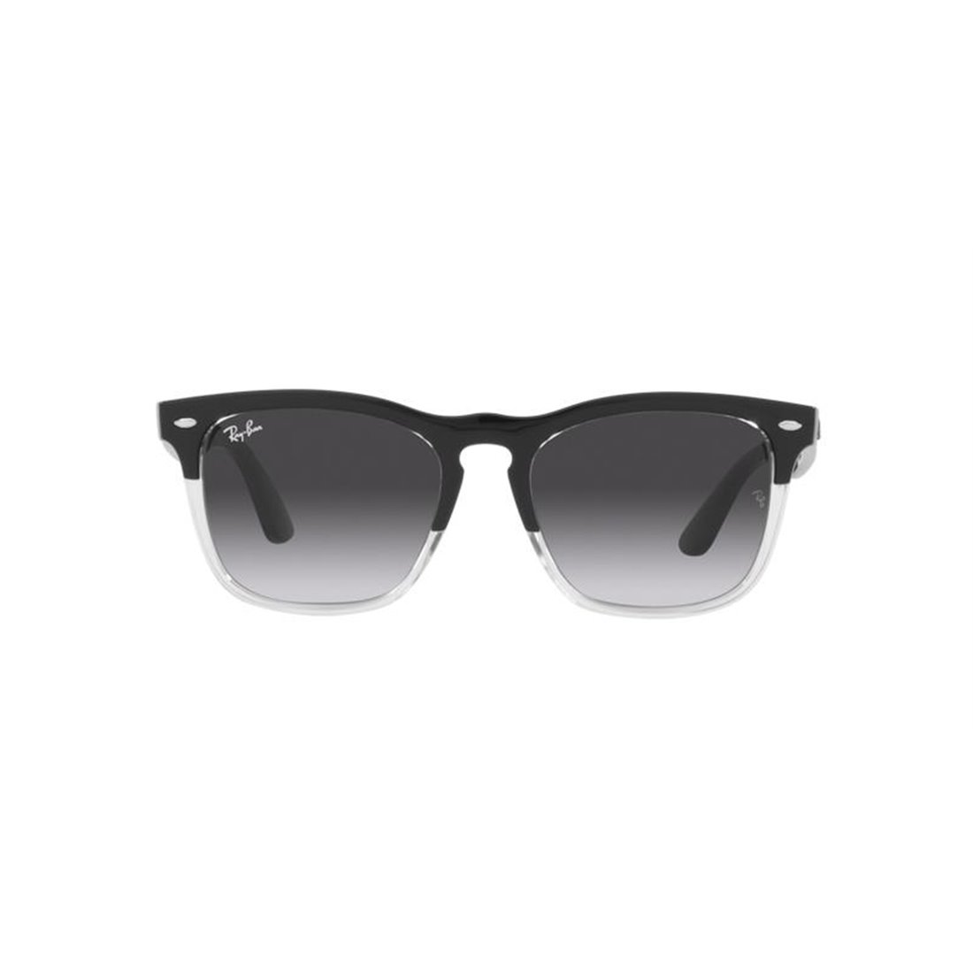 Ray-Ban STEVE RB4487 66308G