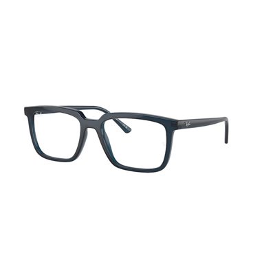 Ray-Ban ALAIN RX7239 8256