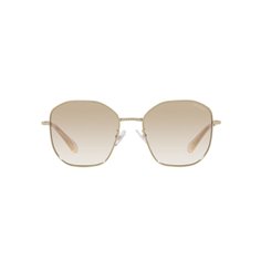 Swarovski SK7012D 401311 2