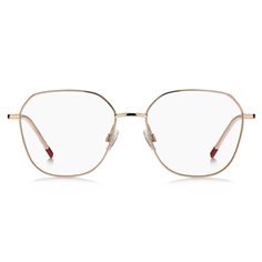 Hugo Boss HG 1324 DDB 2