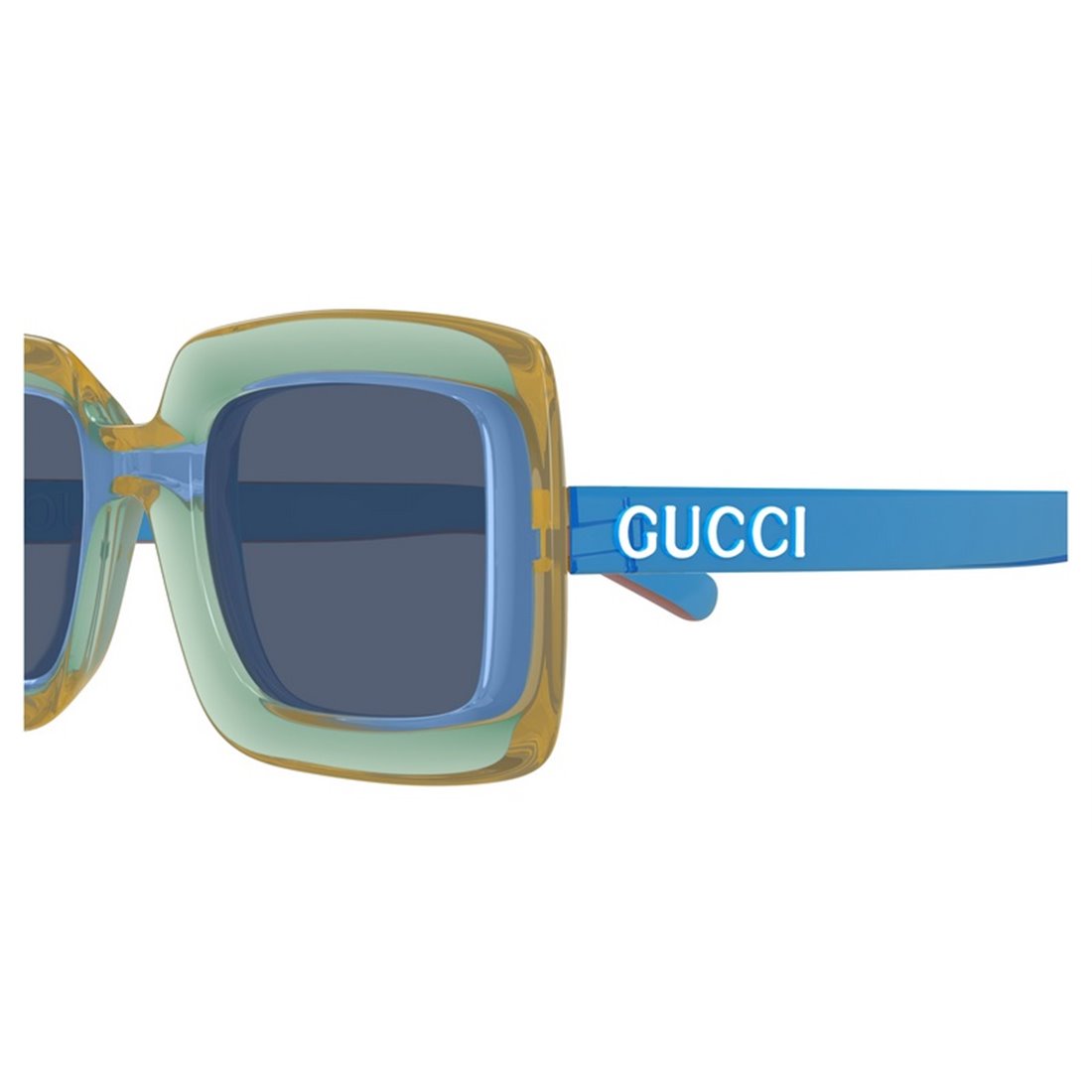 Gucci GG1718S 005