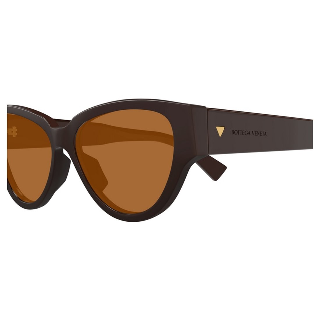 Bottega Veneta BV1319S 003