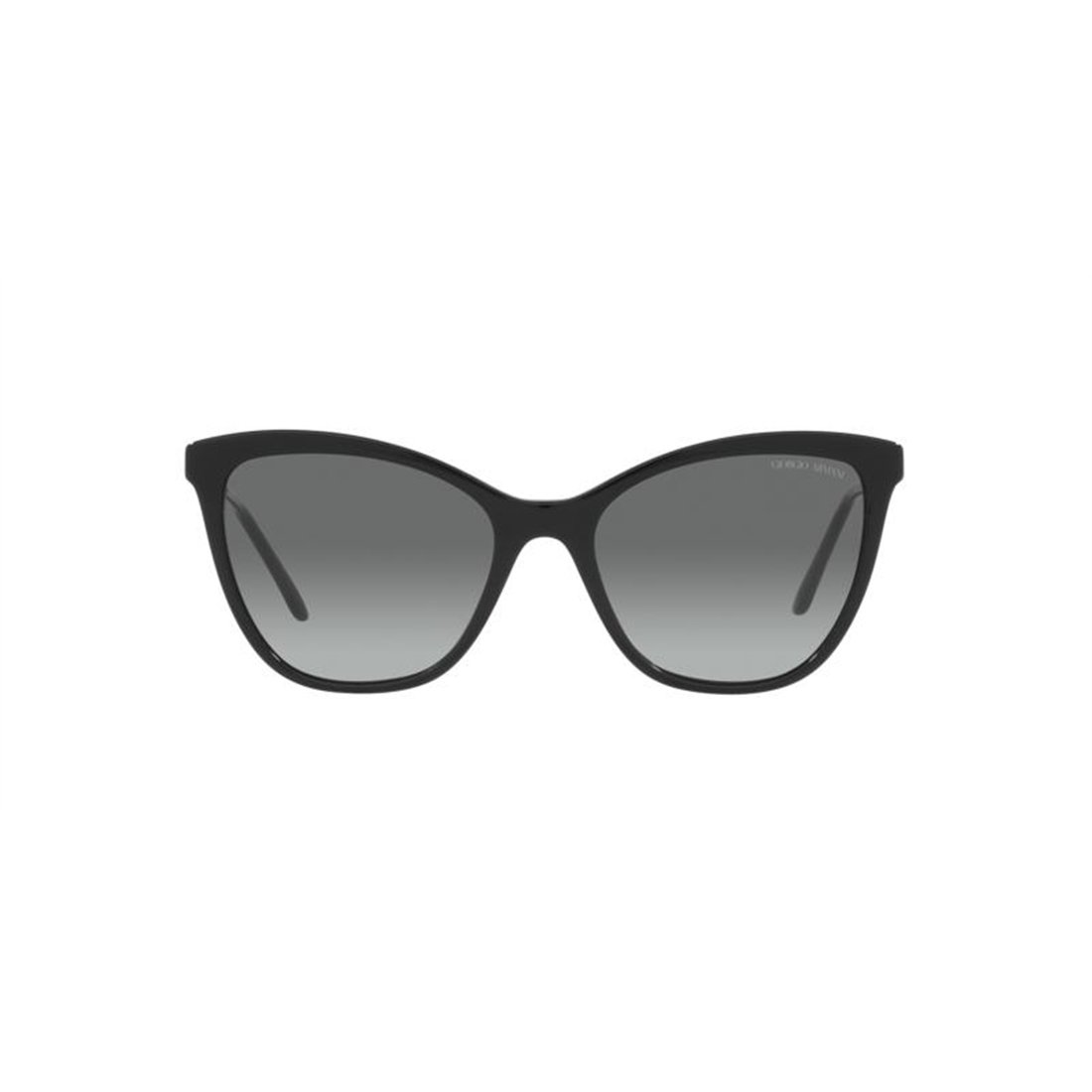 Giorgio Armani AR8157 500111