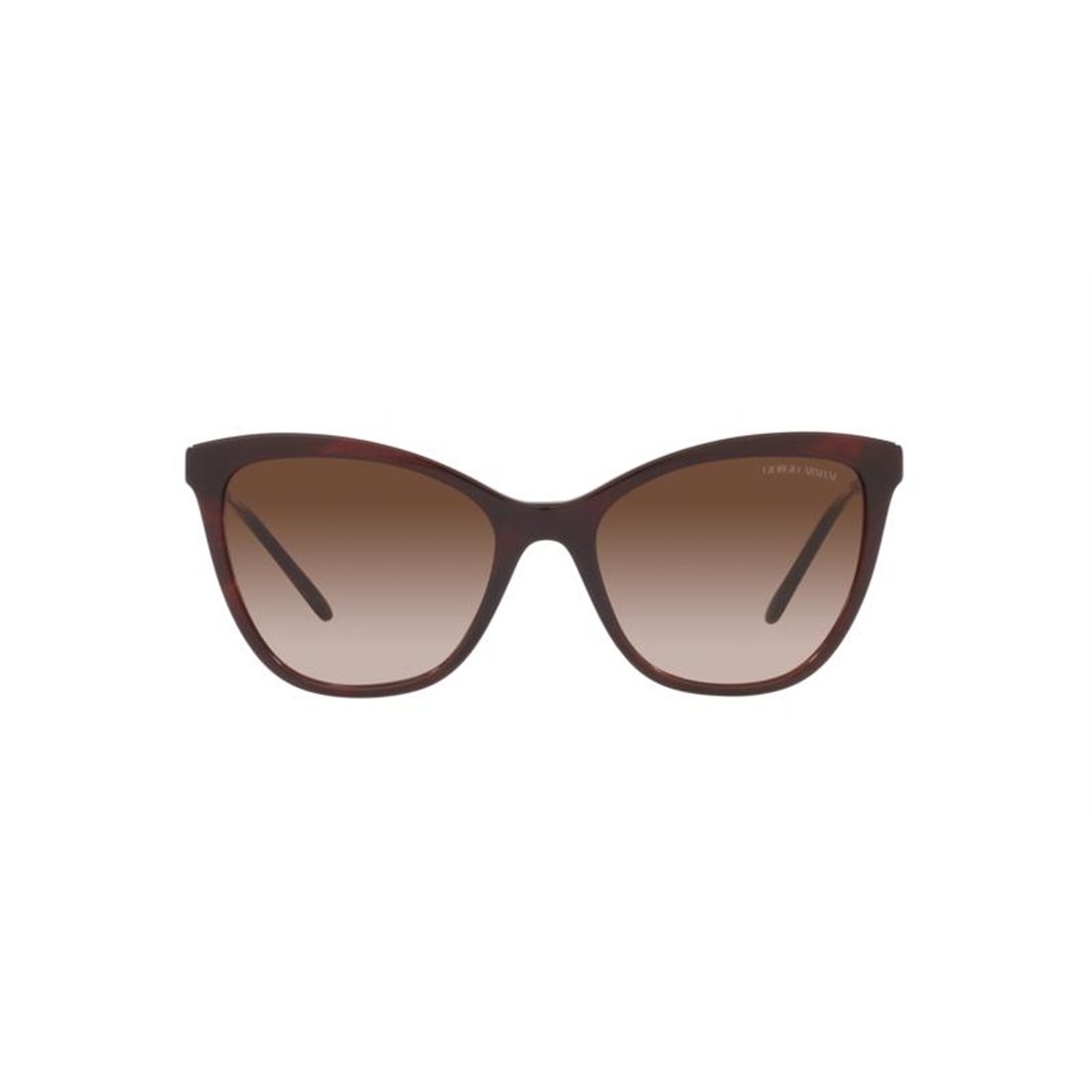 Giorgio Armani AR8157 591713