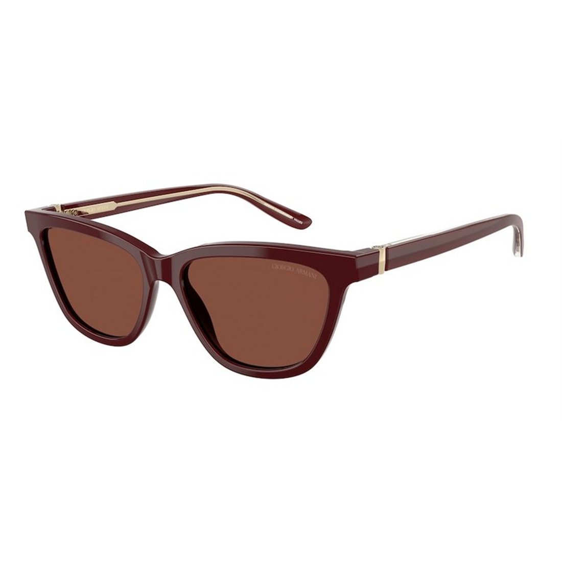 Giorgio Armani AR8221 5955C5