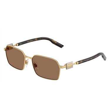 Dolce & Gabbana DG2316 02/73