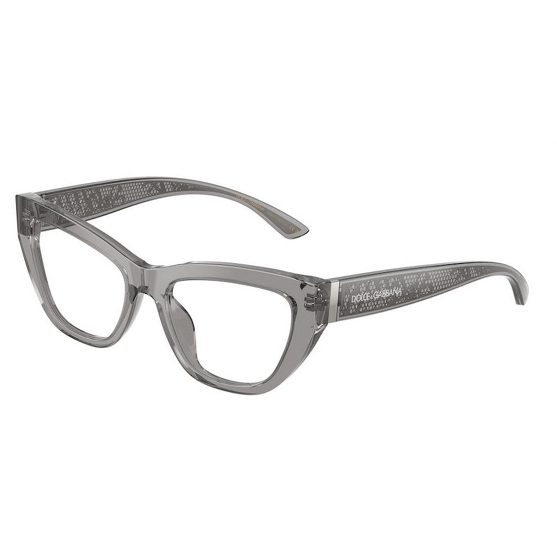 Dolce & Gabbana DG3412 3160