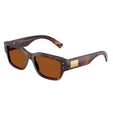 Dolce & Gabbana DG4483 322273