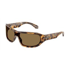 Dolce & Gabbana DG4486 343773