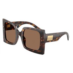 Dolce & Gabbana DG4490 502/73