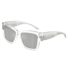 Dolce & Gabbana DG4493 31338V