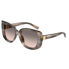 Dolce & Gabbana DG4495 34493B