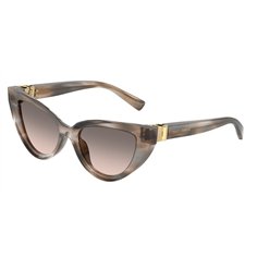 Dolce & Gabbana DG4497 34493B
