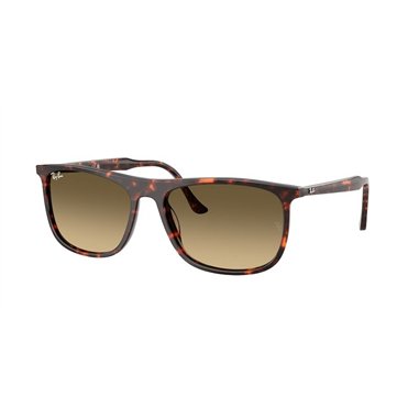 Ray-Ban RB2216 14290A