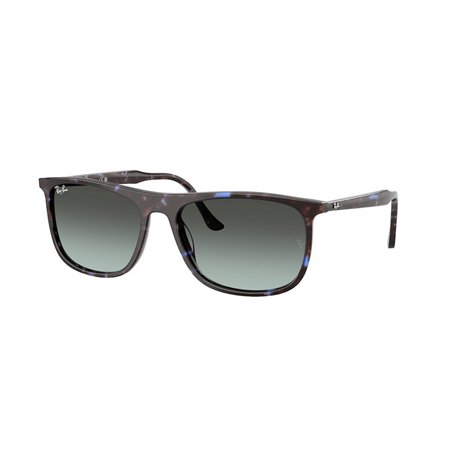 Ray-Ban RB2216 1430GK