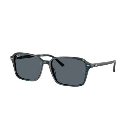 Ray-Ban RAIMOND RB2231 1417R5 Ray-Ban RAIMOND RB2231 1417R5