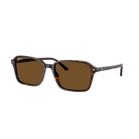 Ray-Ban RAIMOND RB2231 902/57 Ray-Ban RAIMOND RB2231 902/57