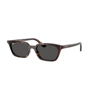 Ray-Ban ZAYA RB4456 135987