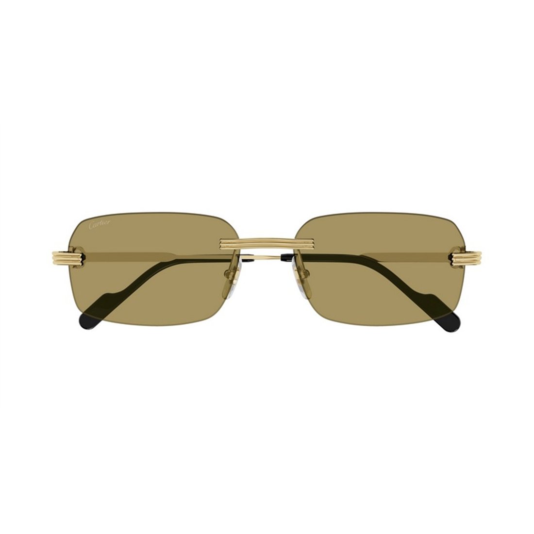 Cartier CT0271S 009