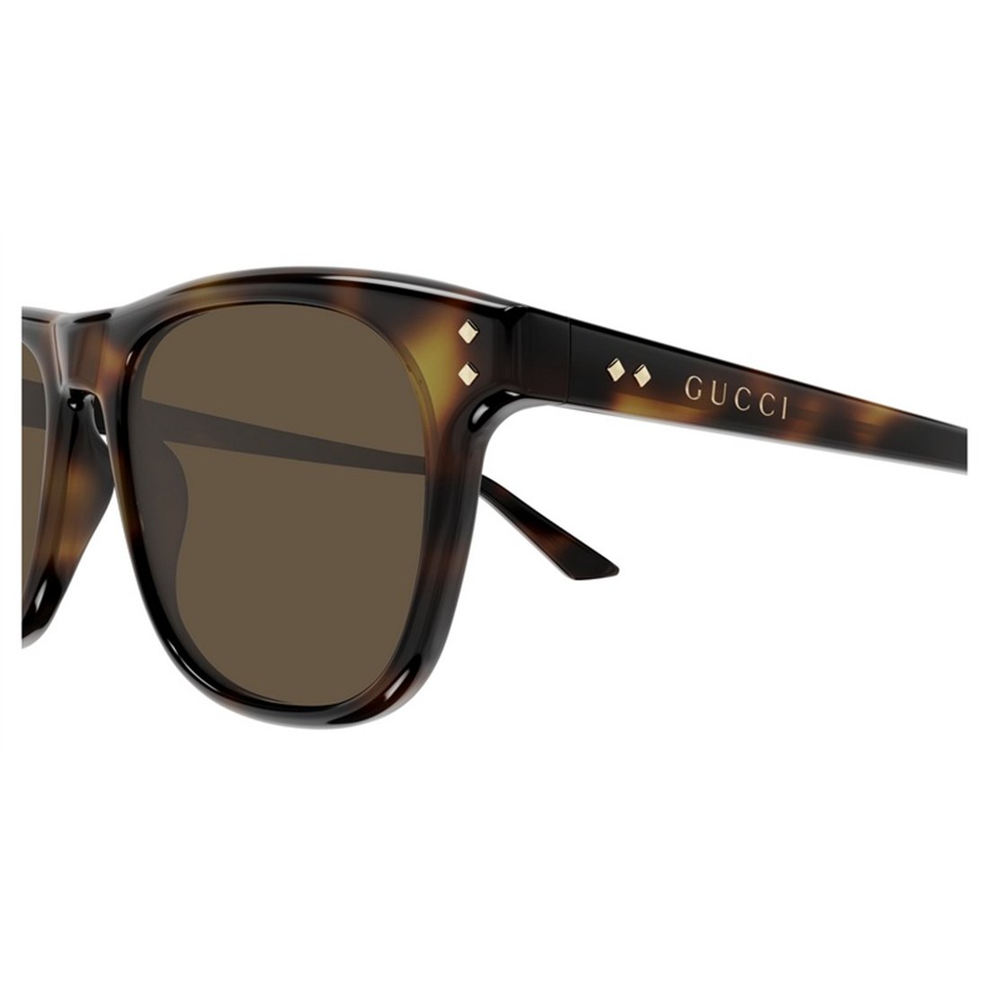Gucci GG1893S 002