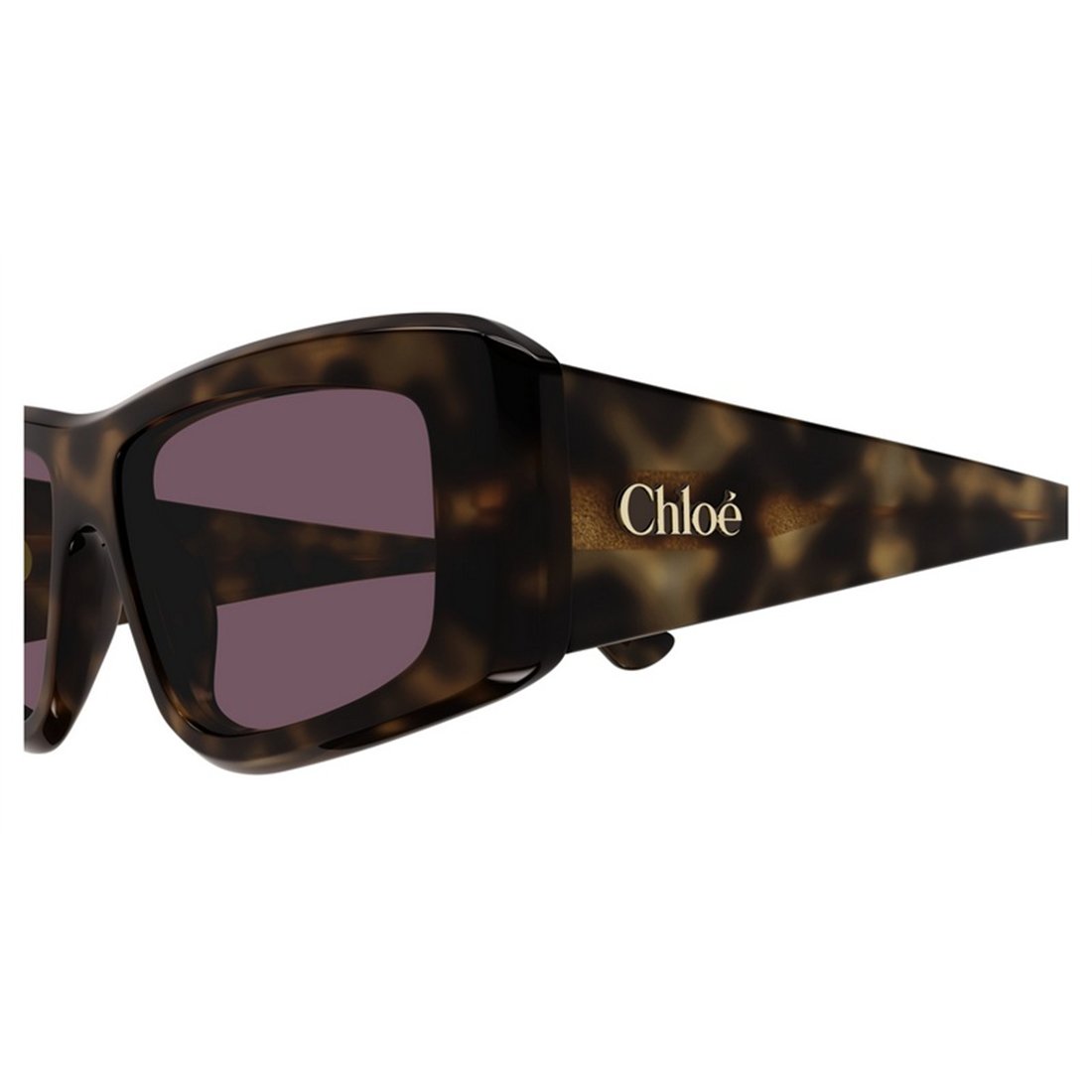 Chloé CH0299S 002