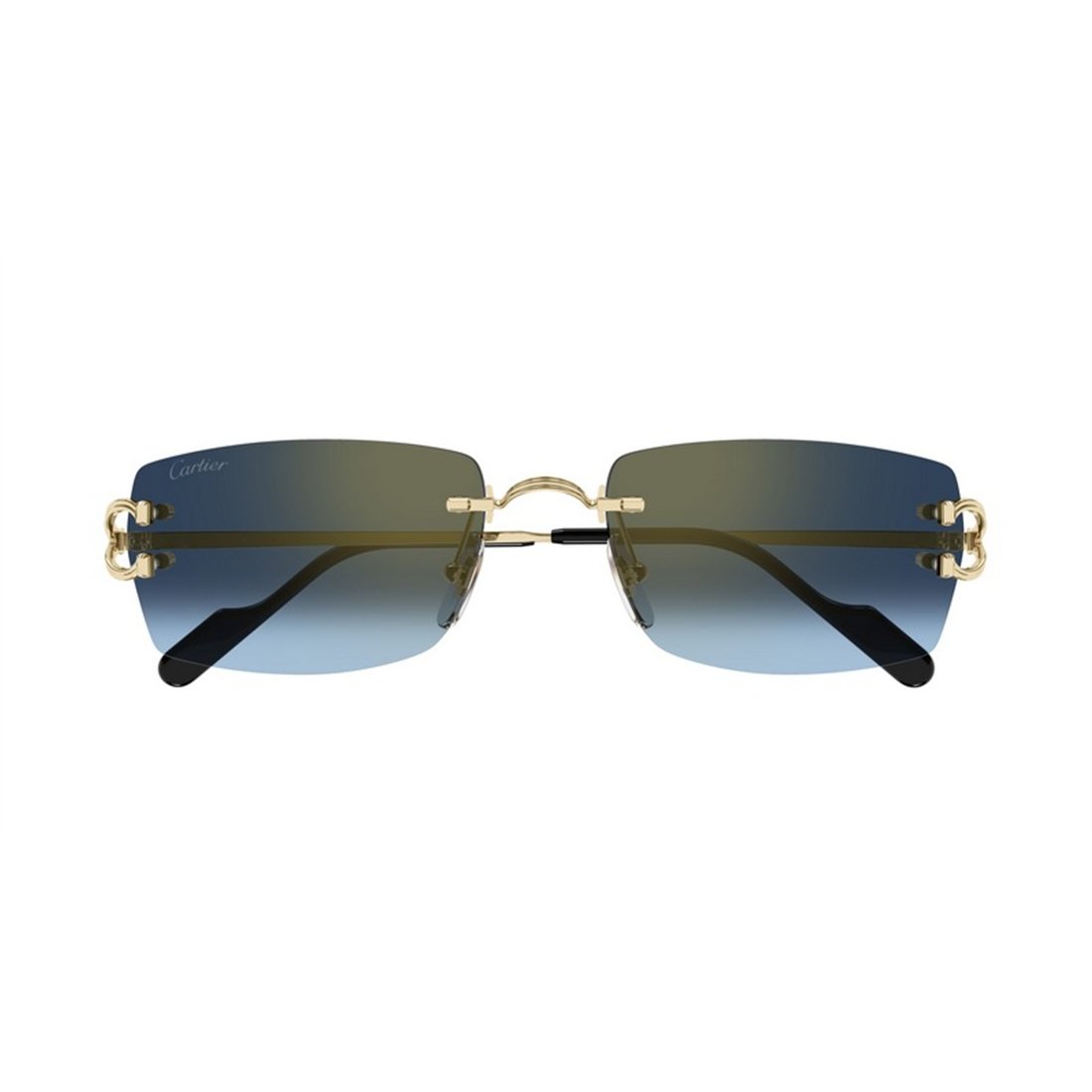 Cartier CT0550S 002