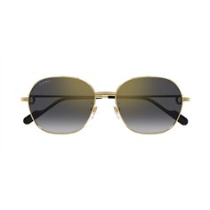 Cartier CT0569SA 001 2