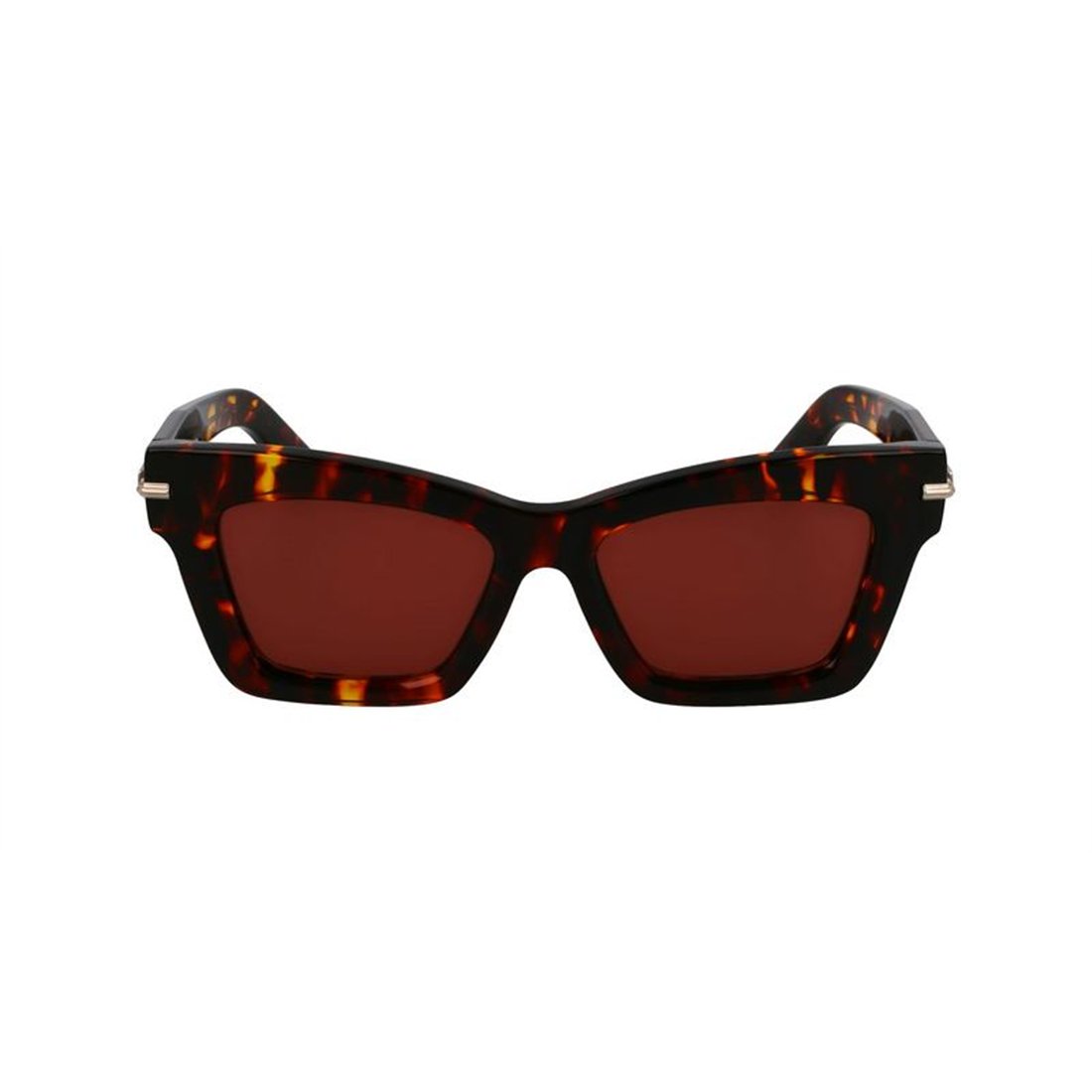 Salvatore Ferragamo SF2031S 242