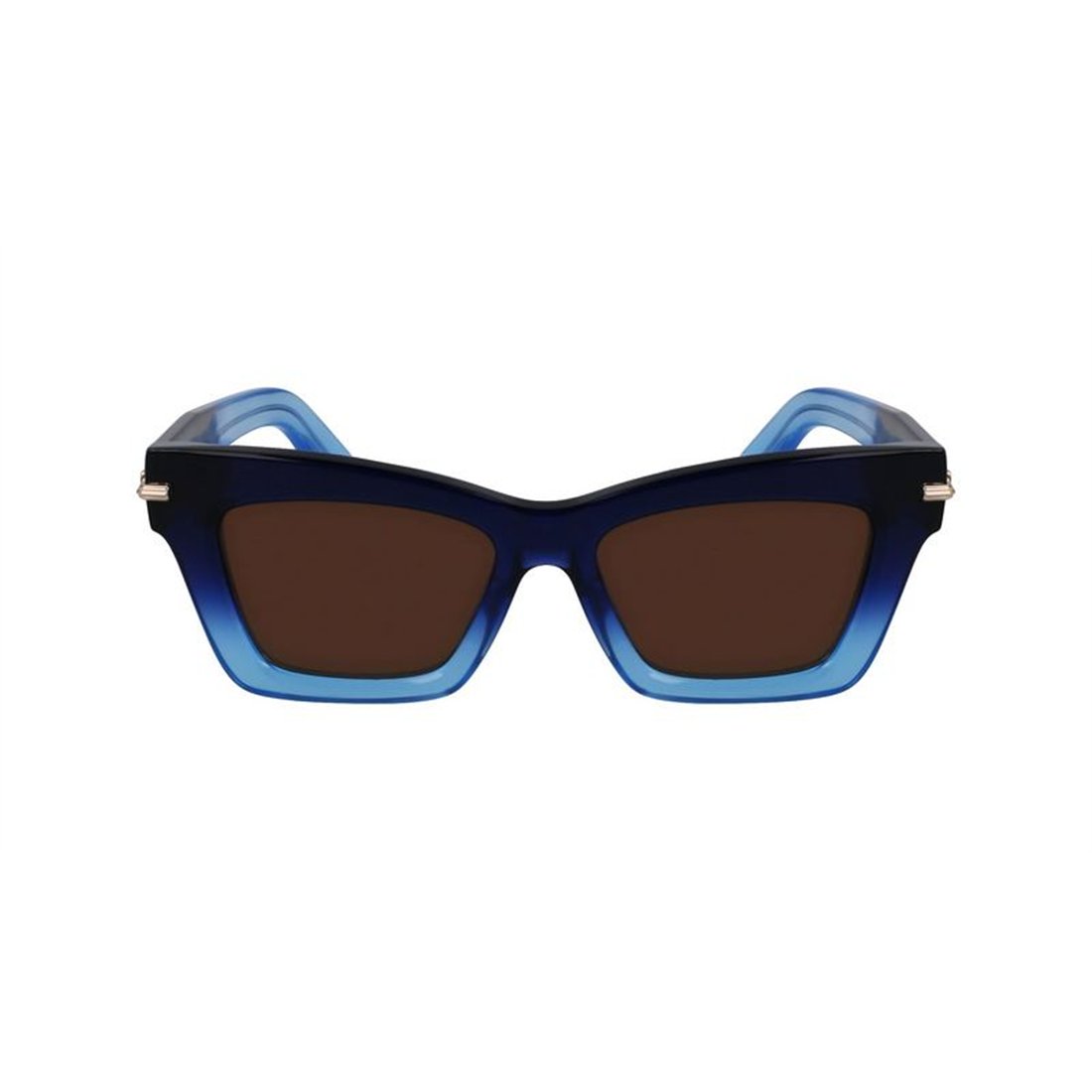 Salvatore Ferragamo SF2031S 415